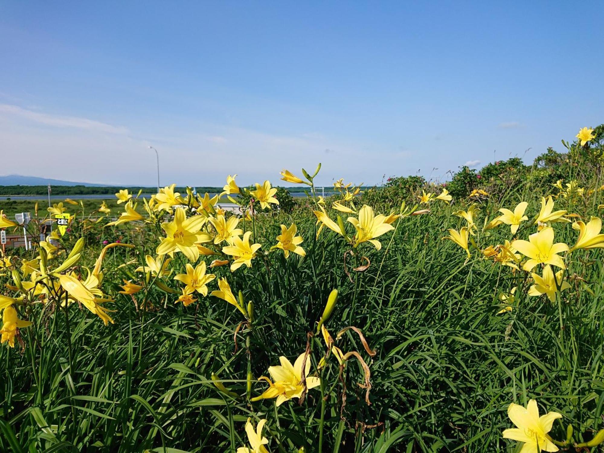 Sea Side Stay / Vacation Stay 1785 Abashiri Luaran gambar